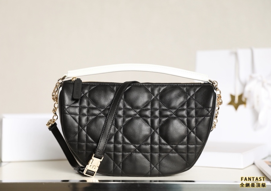 DIOR VIBE  中號餃子包 