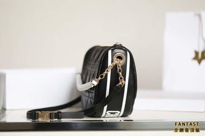 DIOR VIBE  中號餃子包 