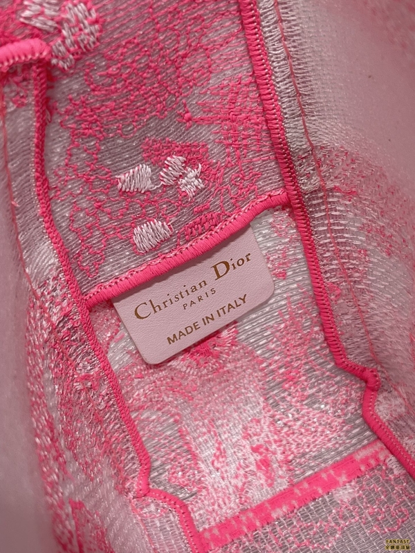Dior新款透明熒光粉虎郵差包