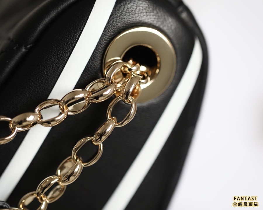 DIOR VIBE  中號餃子包 