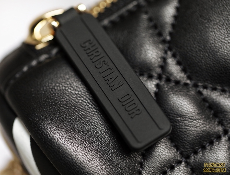 DIOR VIBE  中號餃子包 