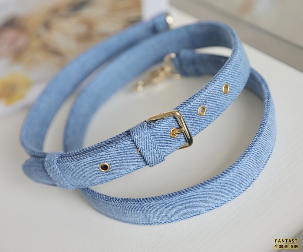 DIOR迪奧  Lady橫版戴妃 