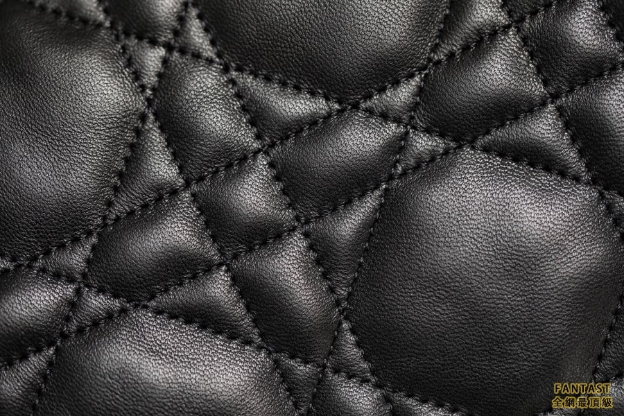 DIOR VIBE  中號餃子包 