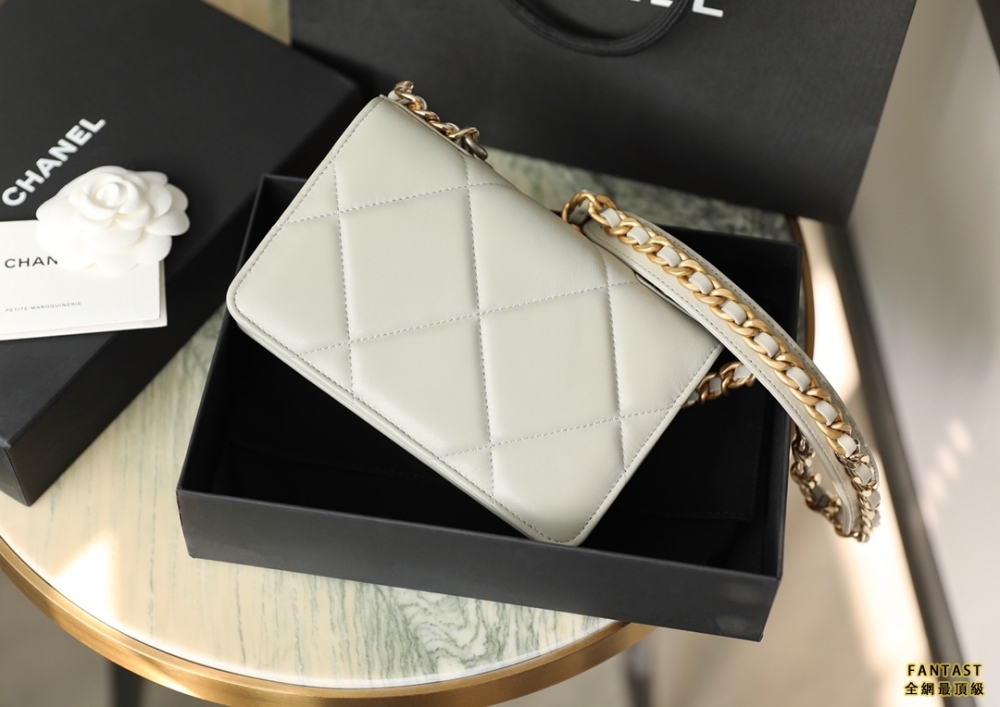 CHANEL22c早春新款 最新啞銀扣19WOC淺灰