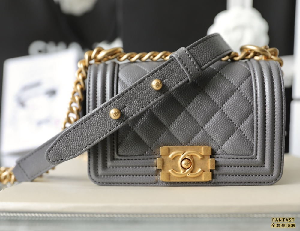 Chanel 22s｜春夏 當季最愛Mini Leboy大象灰