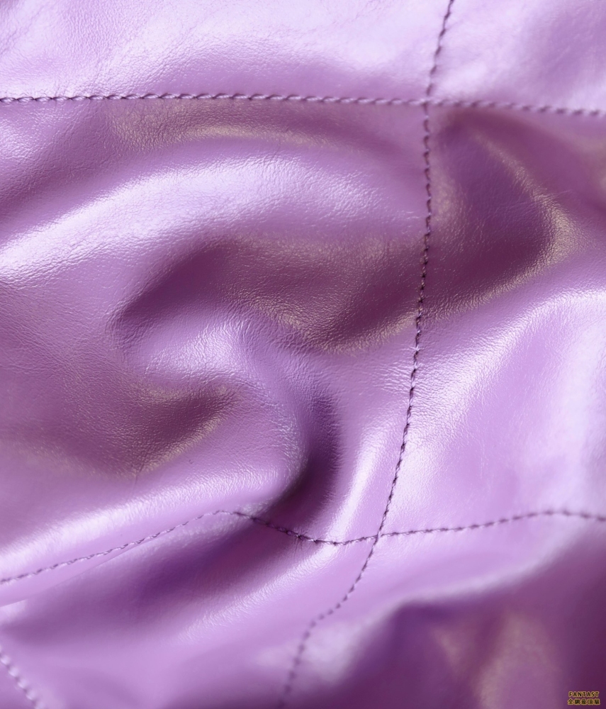 Chanel 22s丨紫色/金字 22bag中號