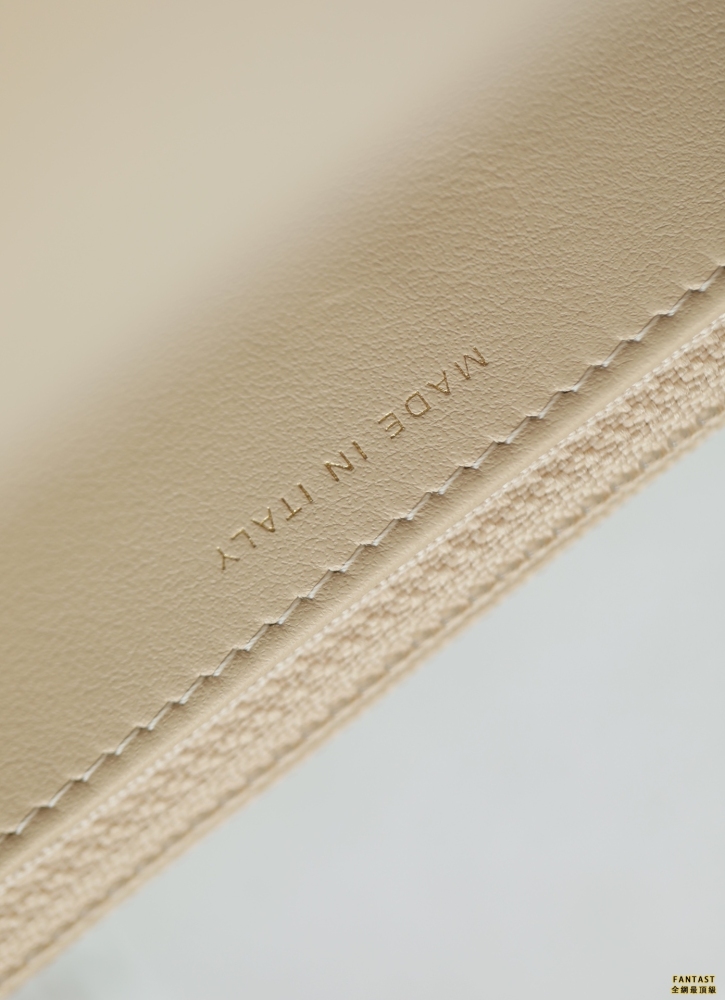 CHANEL22c早春新款 最新啞銀扣19WOC淺杏