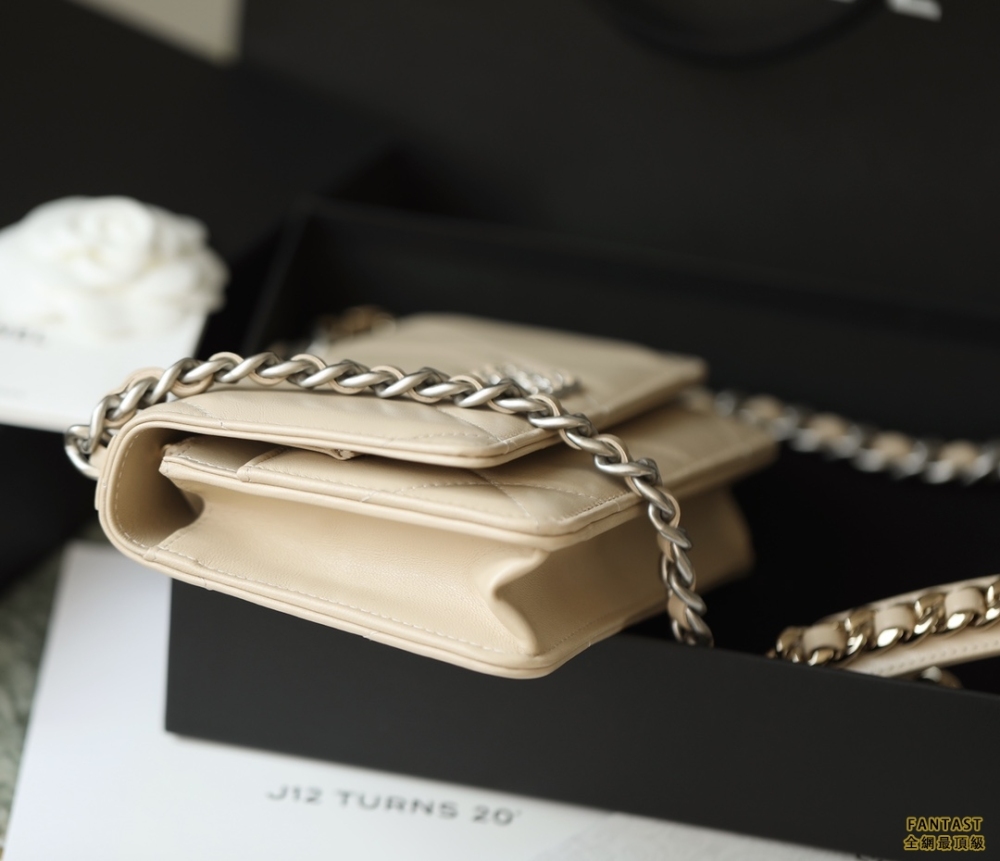 CHANEL22c早春新款 最新啞銀扣19WOC淺杏