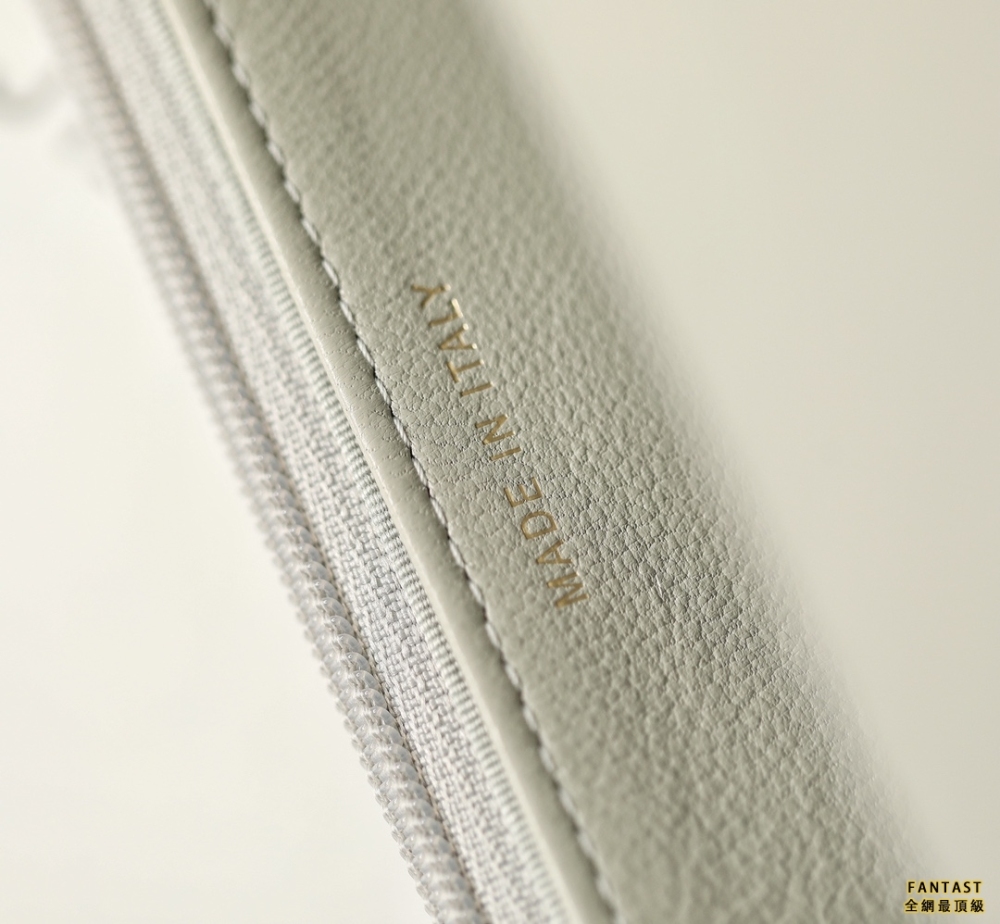 CHANEL22c早春新款 最新啞銀扣19WOC淺灰