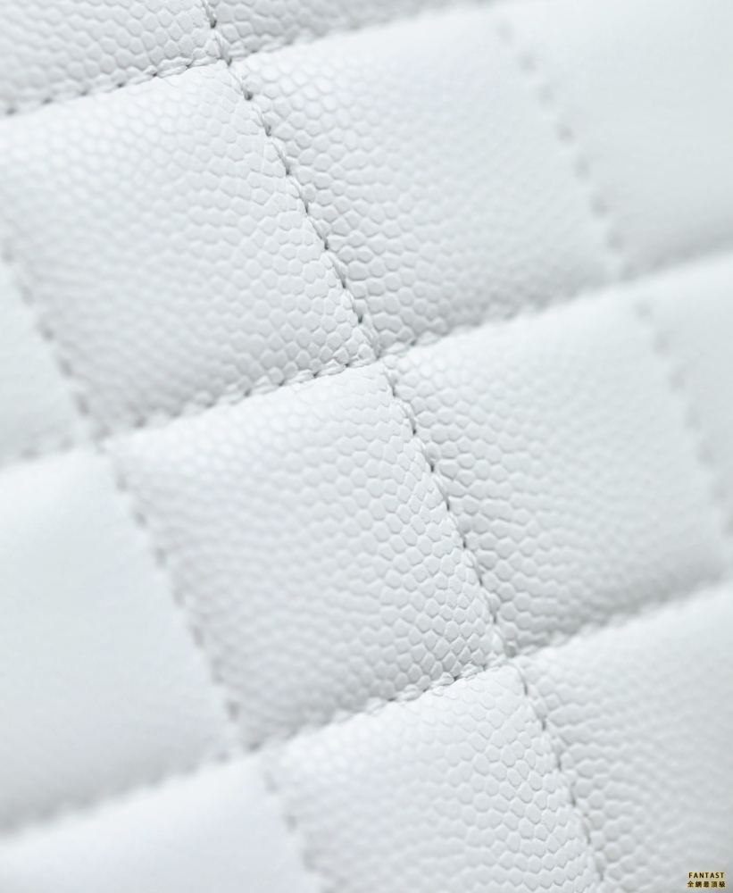 Chanel22A手工坊｜ 金幣口蓋包 大mini白色