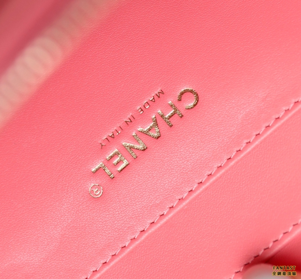 Chanel 22s相機包 小號 Vanity case手柄相機包 珊瑚粉