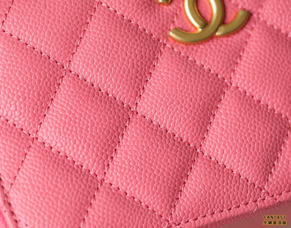Chanel 22s相機包 小號 Vanity case手柄相機包 珊瑚粉