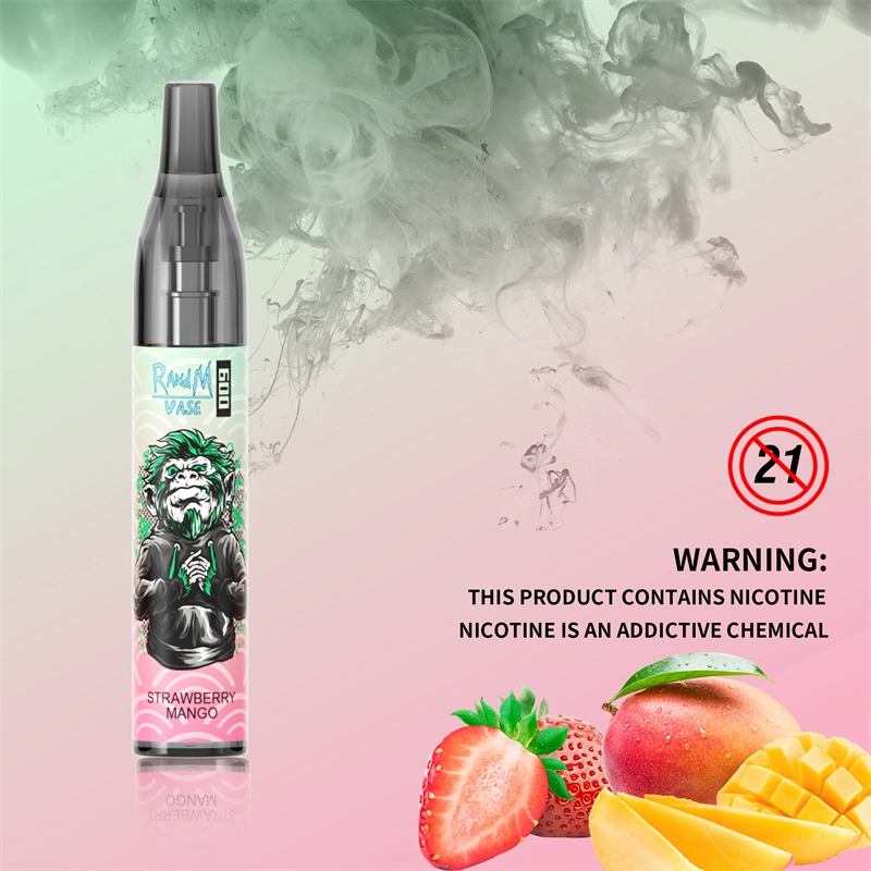 Original RandM Vase 600 Puffs Disposable Vape E-cigarettes 0% 2% 5% 2ml Prefilled Mesh Coil Pod 350mah Battery 20 flavors available Puff 600 Pen Device