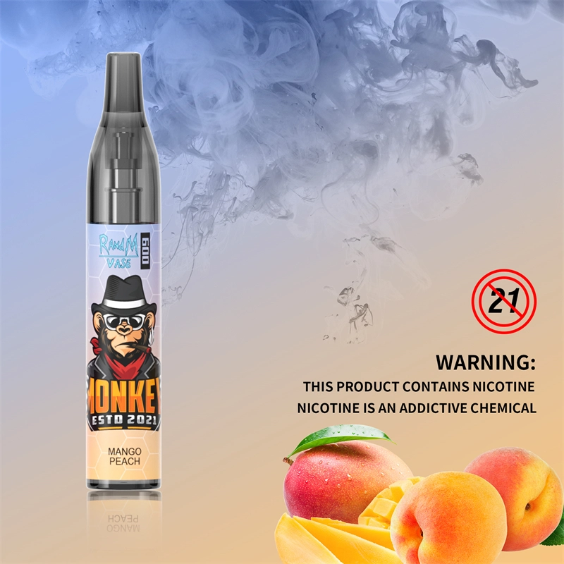 Original RandM Vase 600 Puffs Disposable Vape E-cigarettes 0% 2% 5% 2ml Prefilled Mesh Coil Pod 350mah Battery 20 flavors available Puff 600 Pen Device