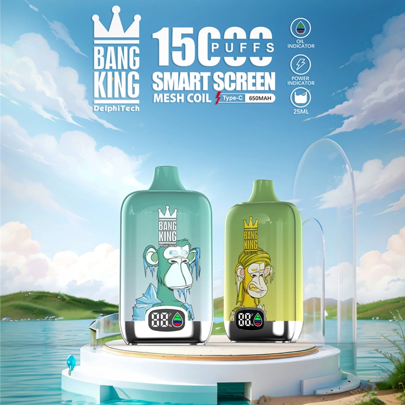 Bang King 15000 Puffs Smart Screen Disposable E Cigarettes Vape Puff 15k 0% 2% 3% 5% 25ml Prefilled Pod Mesh Coil 650mah Rechargeable Pen