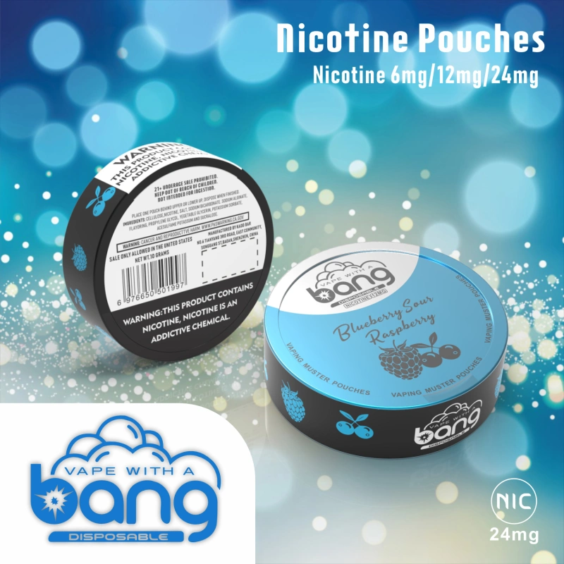 Bang Disposable Vape E Cigarettes Nicotine 6mg/12mg/24mg Muster Pouches 12 Flavors Pen