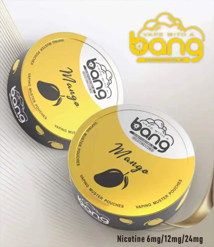 Bang Disposable Vape E Cigarettes Nicotine 6mg/12mg/24mg Muster Pouches 12 Flavors Pen