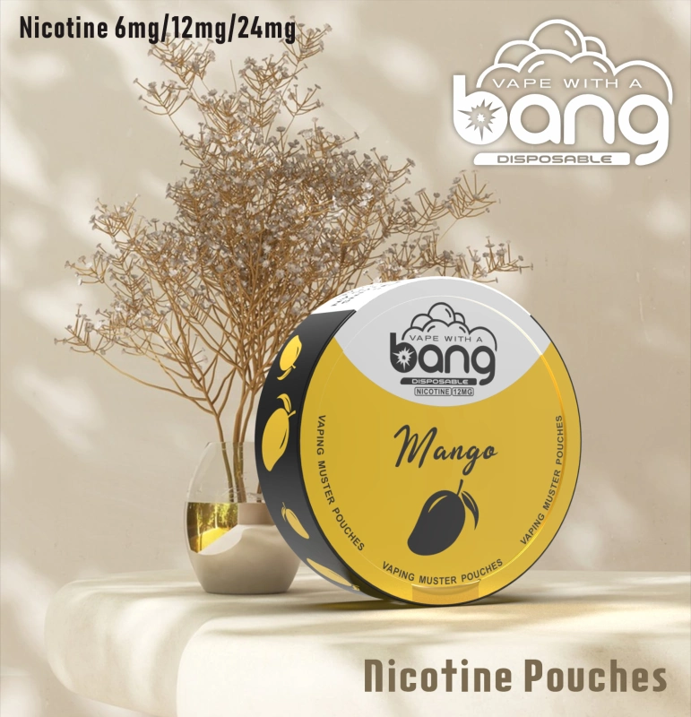 Bang Disposable Vape E Cigarettes Nicotine 6mg/12mg/24mg Muster Pouches 12 Flavors Pen