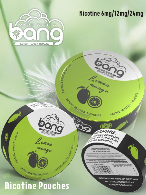 Bang Disposable Vape E Cigarettes Nicotine 6mg/12mg/24mg Muster Pouches 12 Flavors Pen