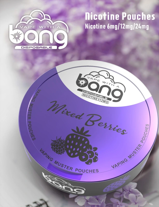 Bang Disposable Vape E Cigarettes Nicotine 6mg/12mg/24mg Muster Pouches 12 Flavors Pen