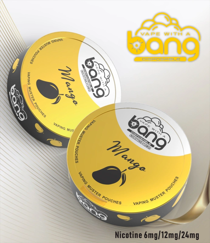 Bang Disposable Vape E Cigarettes Nicotine 6mg/12mg/24mg Muster Pouches 12 Flavors Pen