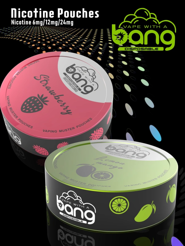 Bang Disposable Vape E Cigarettes Nicotine 6mg/12mg/24mg Muster Pouches 12 Flavors Pen