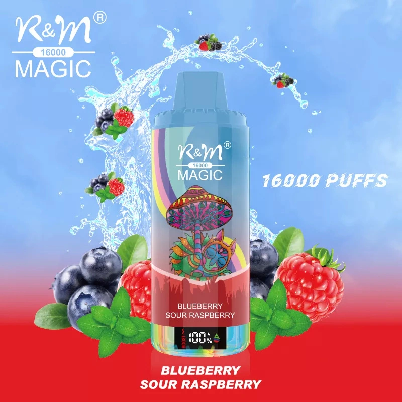 R&M Magic 16000 Puffs LED Screen Wholesale Randm Disposable Electronic Cigarette Rechargeable Vape Pen RGB Lights Minimum Order 500pcs