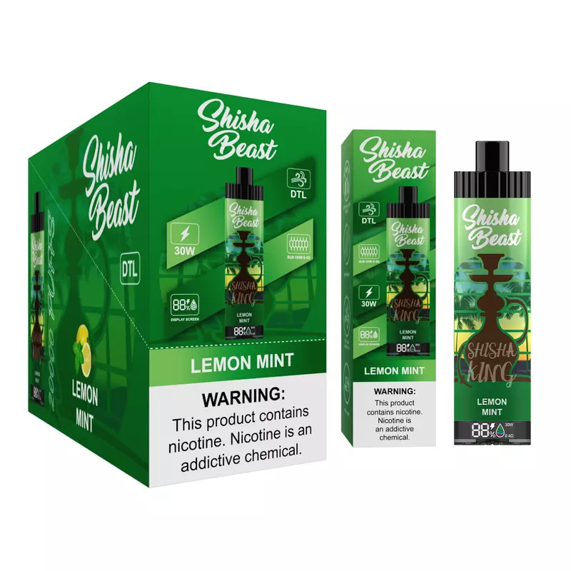 R&M Shisha Beast  20000 Puffs LED Screen Wholesale Randm Disposable Electronic Cigarette Sub ohm 0.4Ω Support Lung Suction Vape Pen