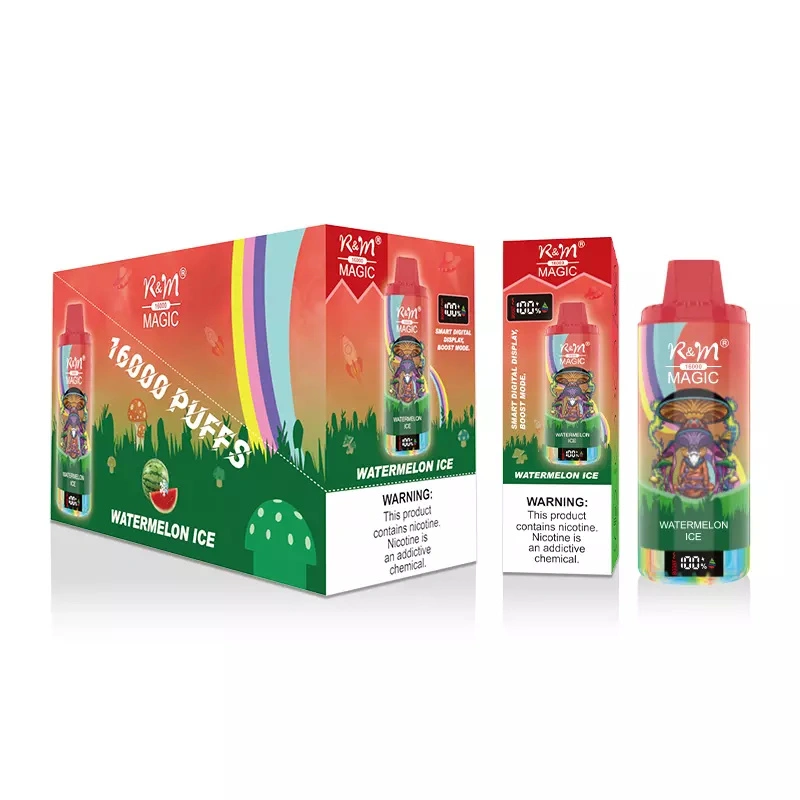 R&M Magic 16000 Puffs LED Screen Wholesale Randm Disposable Electronic Cigarette Rechargeable Vape Pen RGB Lights