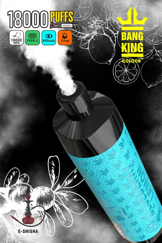 Bang King 18000 Puffs LED Screen Wholesale Vape Pen Disposable Electronic Cigarette Leather Rechargeable 0.6ohm Mesh Coil