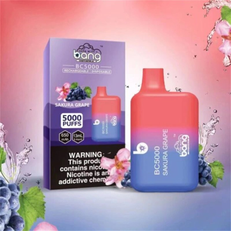 Bang BC 5000 Puffs Wholesale Vape Disposable Electronic Cigarette Puff 5k 13ML Pod Mesh Coil 650mah Rechargeable Battery