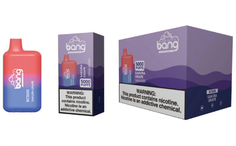 Bang BC 5000 Puffs Wholesale Vape Disposable Electronic Cigarette Puff 5k 13ML Pod Mesh Coil 650mah Rechargeable Battery