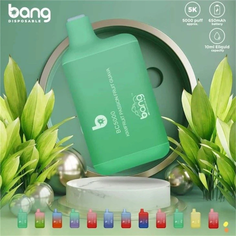 Bang BC 5000 Puffs Wholesale Vape Disposable Electronic Cigarette Puff 5k 13ML Pod Mesh Coil 650mah Rechargeable Battery