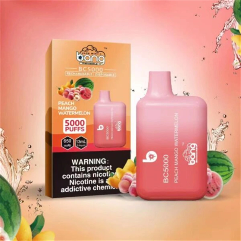 Bang BC 5000 Puffs Wholesale Vape Disposable Electronic Cigarette Puff 5k 13ML Pod Mesh Coil 650mah Rechargeable Battery