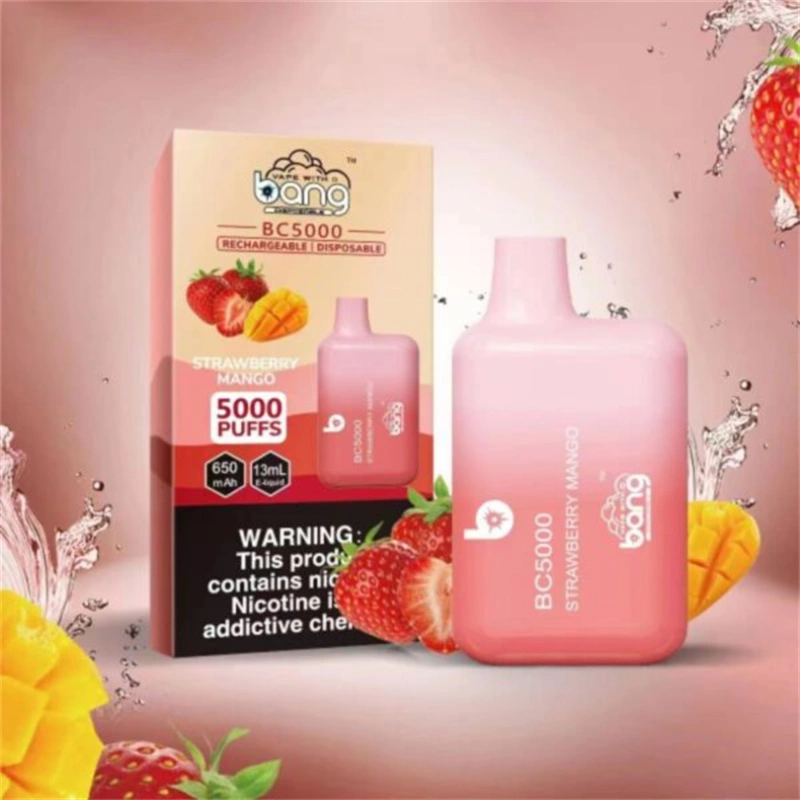 Bang BC 5000 Puffs Wholesale Vape Disposable Electronic Cigarette Puff 5k 13ML Pod Mesh Coil 650mah Rechargeable Battery