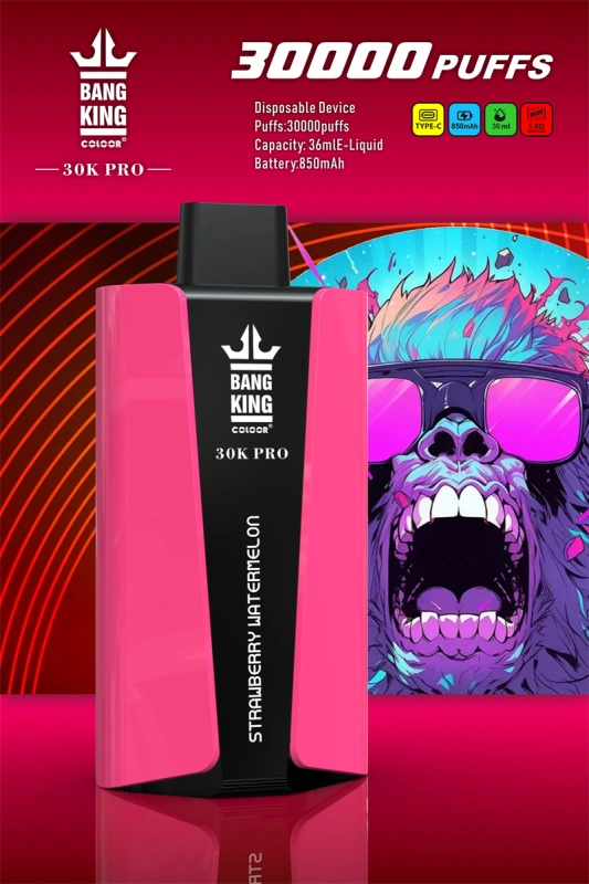 Bang King 30000 Pro Puffs Wholesale Vape Disposable Electronic Cigarette 850mah Rechargeable 1.0ohm Mesh Coil 36ml Pod Vaper