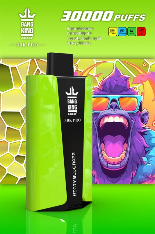 Bang King 30000 Pro Puffs Wholesale Vape Disposable Electronic Cigarette 850mah Rechargeable 1.0ohm Mesh Coil 36ml Pod Vaper
