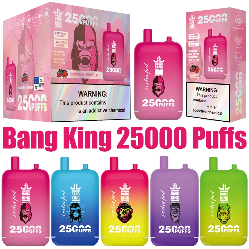 Bang King 25000 Puffs Dual Prefilled Pods Disposable Vape Wholesale Puff 25k Best Electronic Cigarette