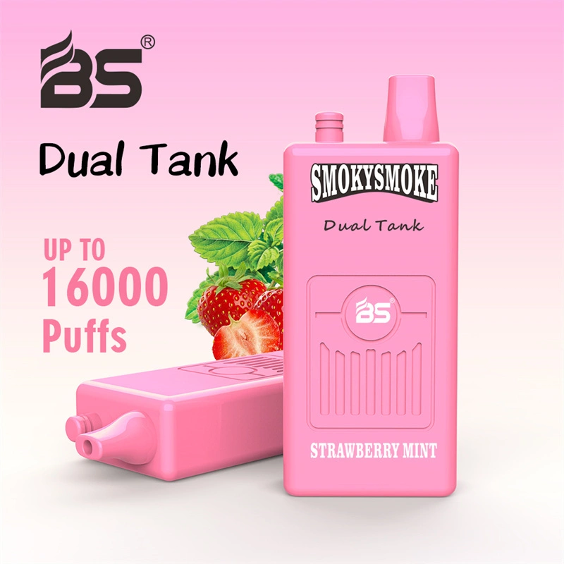 Breze Stiik BS Smoky Smoke 16000 Puffs Disposable Vape Wholesale Electronic Cigarettes Puff 16k Prefilled Pod Dual Tank