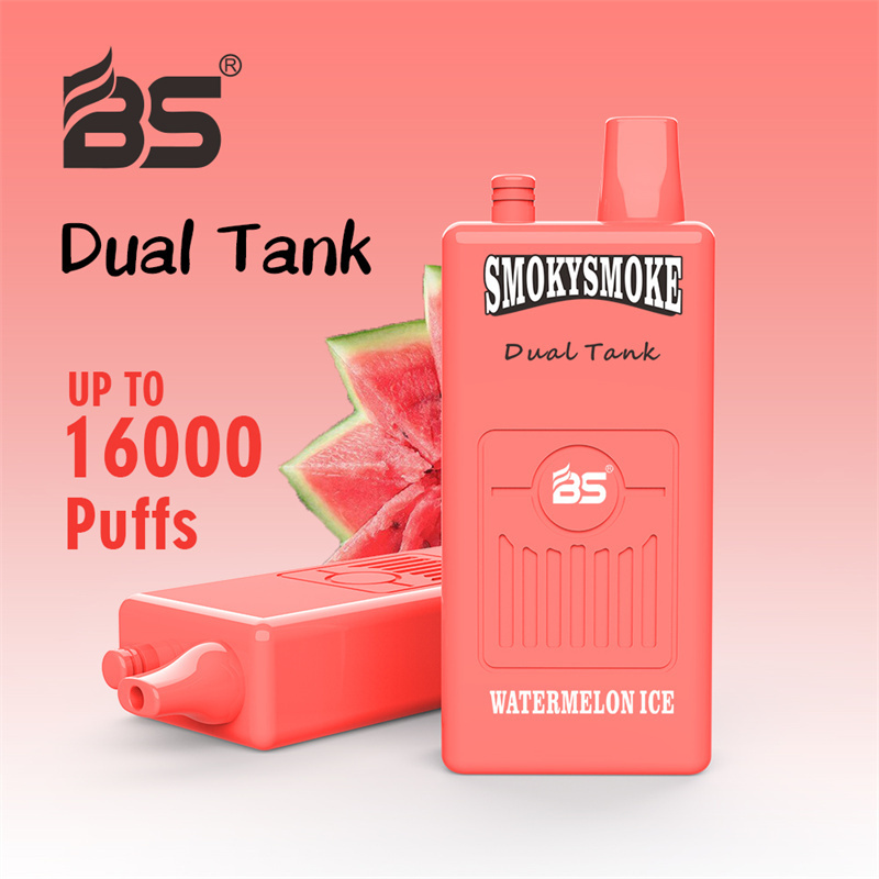 Breze Stiik BS Smoky Smoke 16000 Puffs Disposable Vape Wholesale Electronic Cigarettes Puff 16k Prefilled Pod Dual Tank