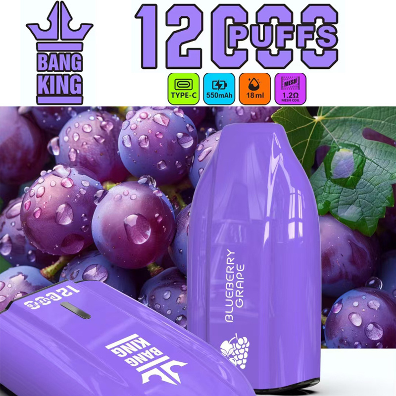 Puff 12K Bang King 12000 Puffs Wholesale Disposable Vape Best Electronic Cigarette Prefilled Pod
