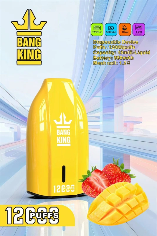 Puff 12K Bang King 12000 Puffs Wholesale Disposable Vape Best Electronic Cigarette Prefilled Pod