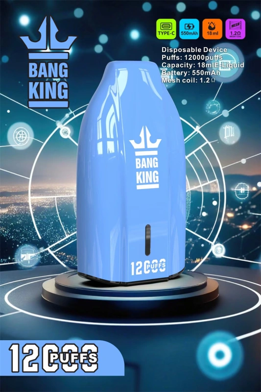 Puff 12K Bang King 12000 Puffs Wholesale Disposable Vape Best Electronic Cigarette Prefilled Pod