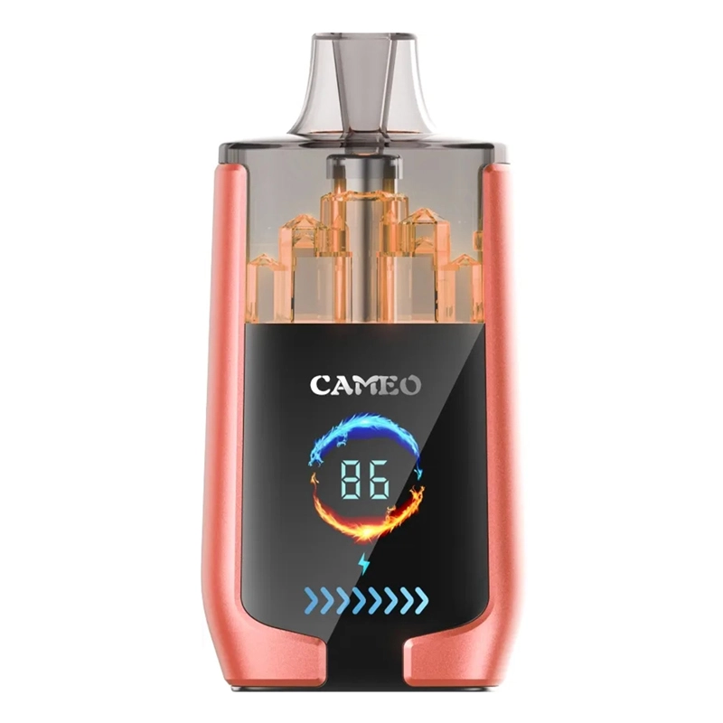 Puff 30k Lavie Cameo 30000 Puffs Smart Screen Wholesale Disposable Vape Prefilled Pod Double Mesh Airflow Adjustable