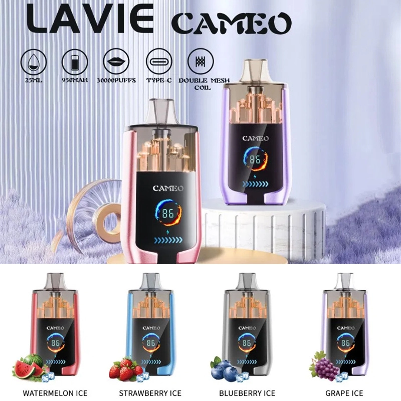 Puff 30k Lavie Cameo 30000 Puffs Smart Screen Wholesale Disposable Vape Prefilled Pod Double Mesh Airflow Adjustable