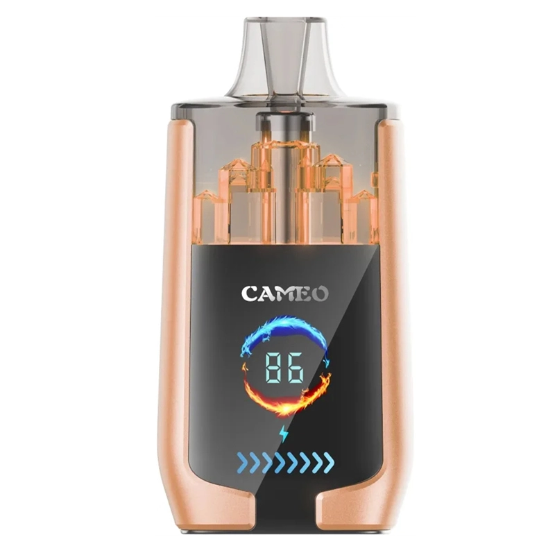 Puff 30k Lavie Cameo 30000 Puffs Smart Screen Wholesale Disposable Vape Prefilled Pod Double Mesh Airflow Adjustable