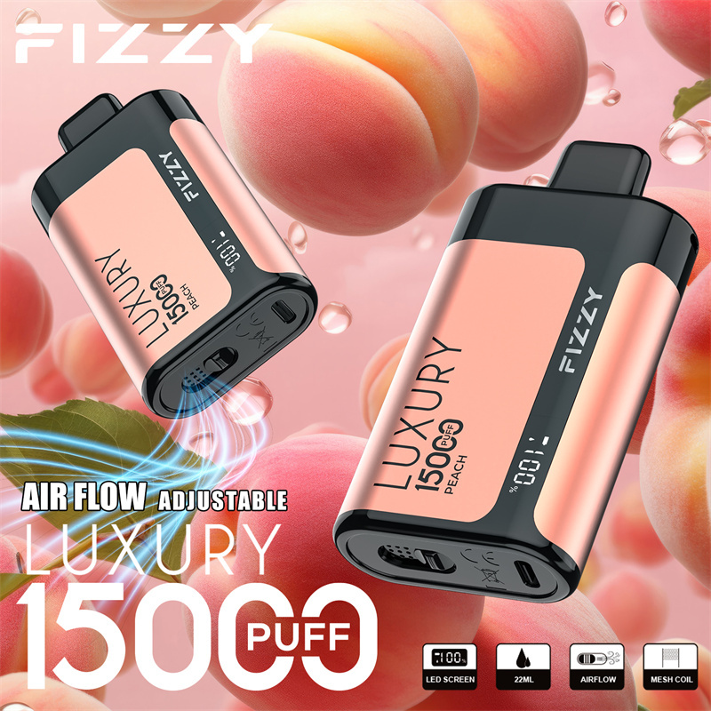 Fizzy Luxury 15000 Puffs LED Screen EU Warehouse Wholesale Disposable Vape Puff 15k E Cigarettes Airflow Adjustable