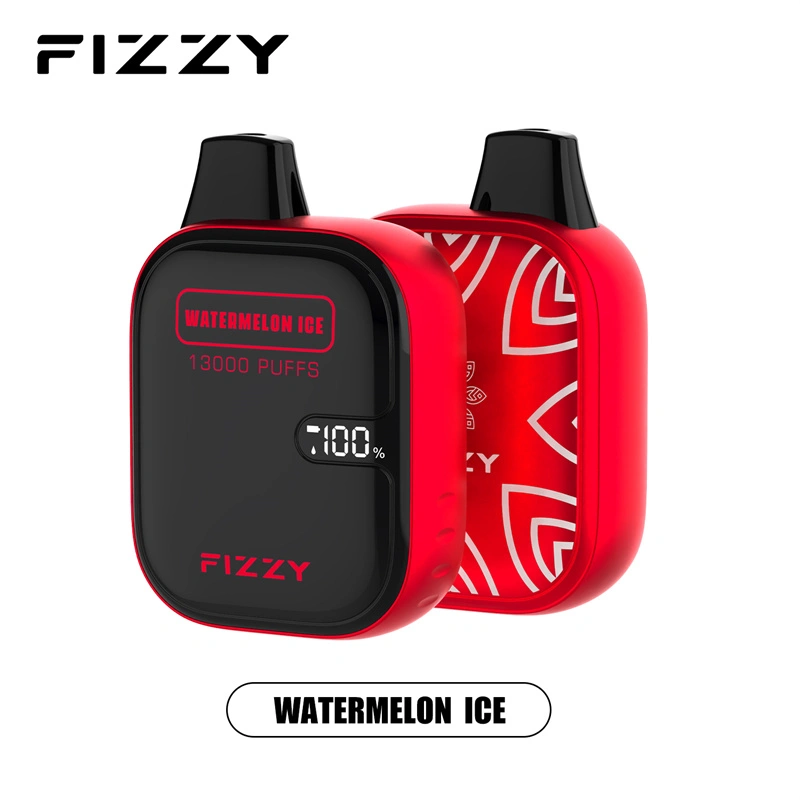 Fizzy Boom 13000 Puffs LED Screen EU Warehouse Wholesale Disposable Vape Puff 13k E Cigarettes