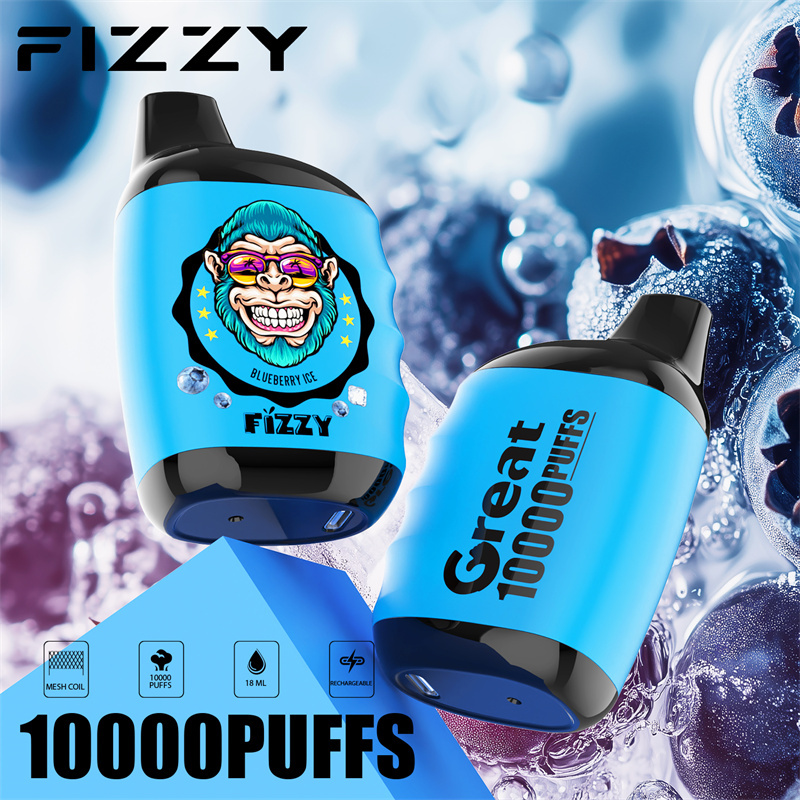 Fizzy Great 10000 Puffs EU Warehouse Wholesale Disposable Vape Puff 10k E Cigarettes