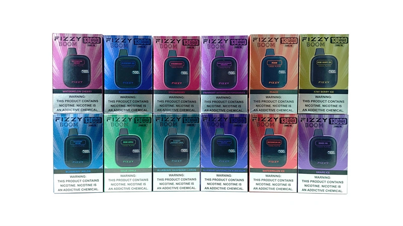 Fizzy Boom 13000 Puffs LED Screen EU Warehouse Wholesale Disposable Vape Puff 13k E Cigarettes